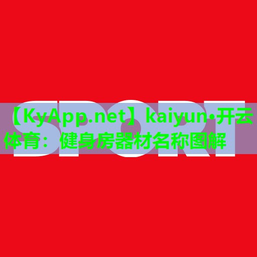 kaiyun·开云体育：健身房器材名称图解