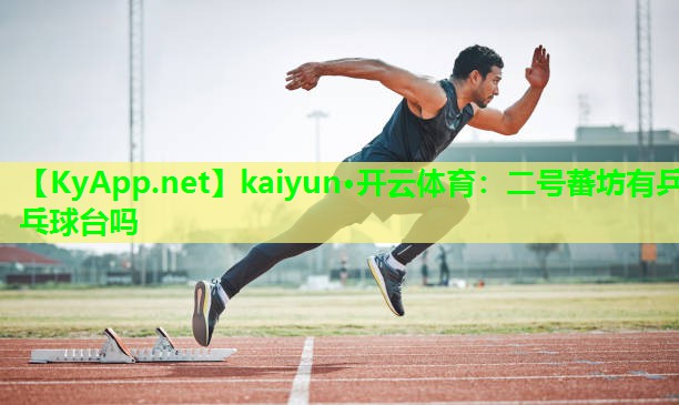 kaiyun·开云体育：二号蕃坊有乒乓球台吗