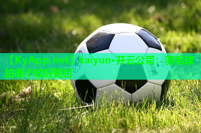 kaiyun·开云公司：羽毛球拍哪个较好耐打